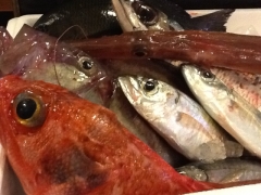 鮮魚